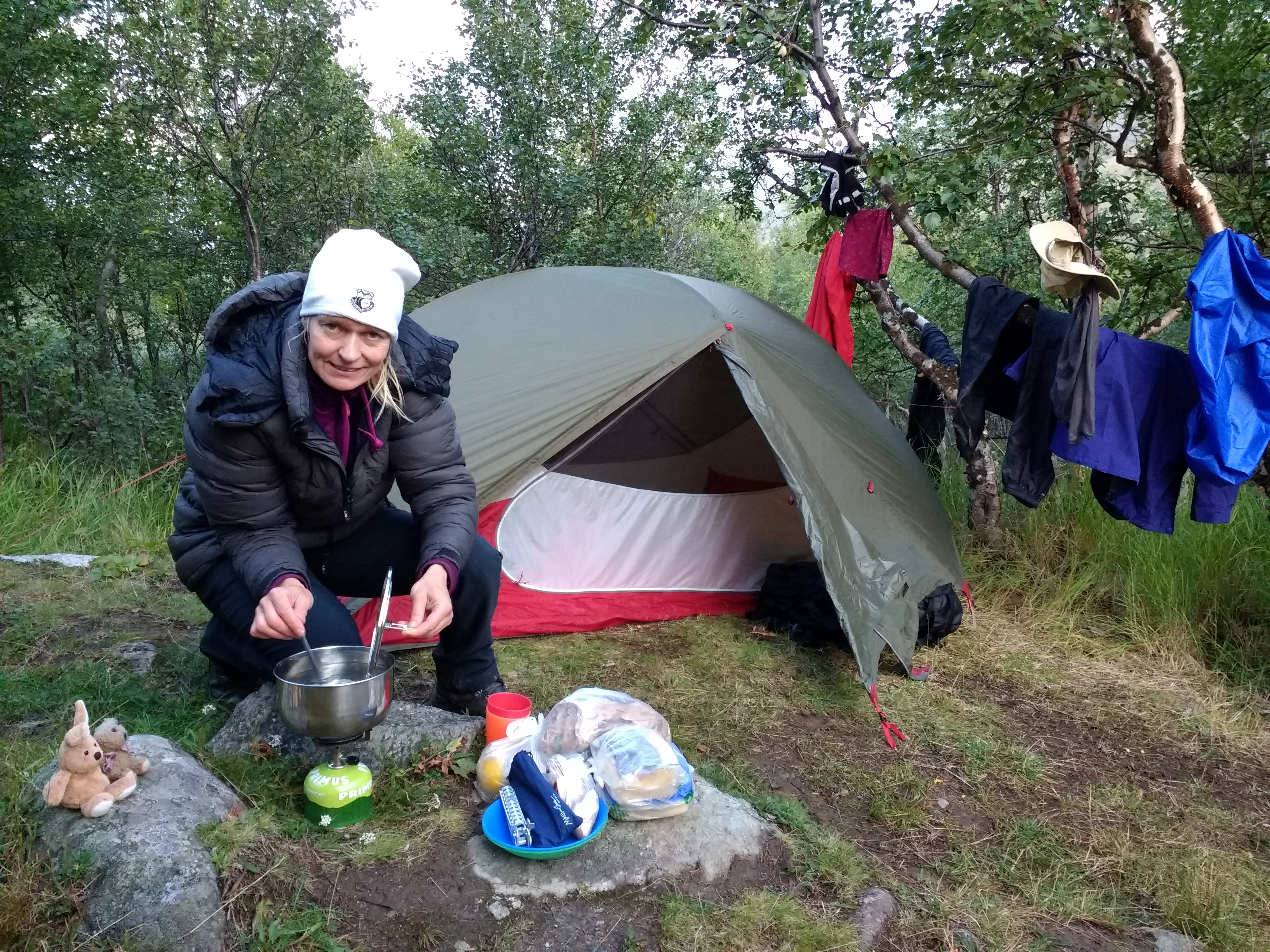 Lappland 2019 - Zum Kebnekaise - Ute Jansen